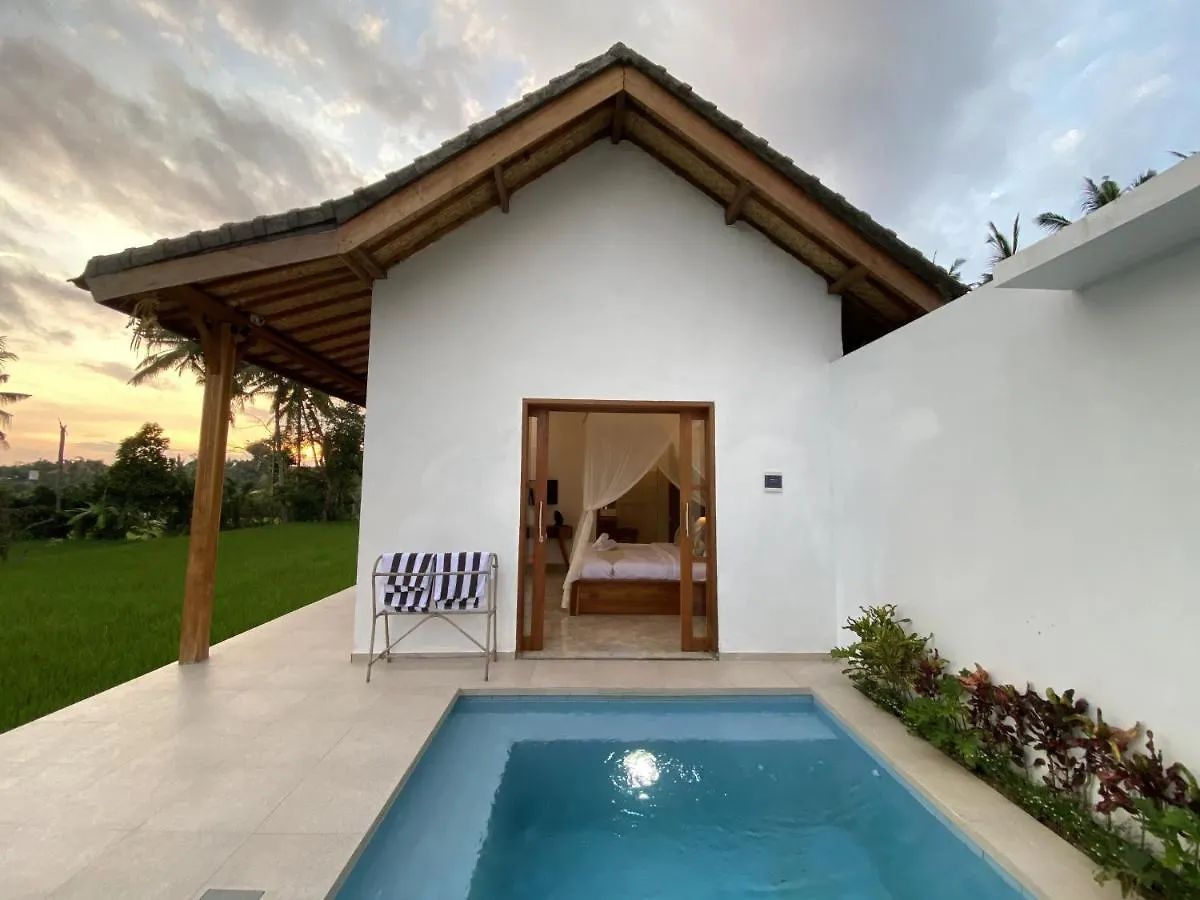Luxury Villa Ada Padi Ubud One Bed Room