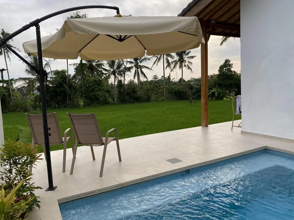 Luxury Villa Ada Padi Ubud One Bed Room Indonesia