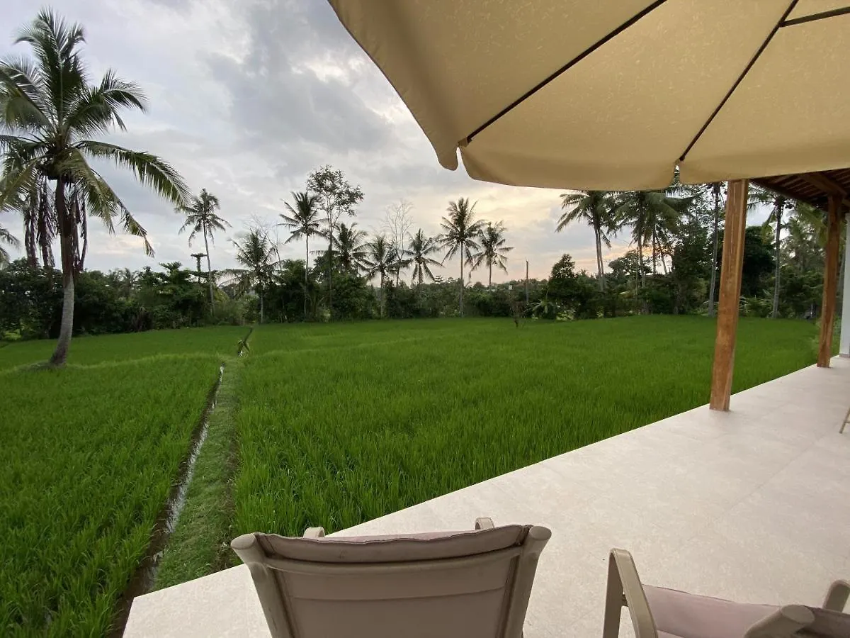 Luxury Villa Ada Padi Ubud One Bed Room Ubud (Bali)