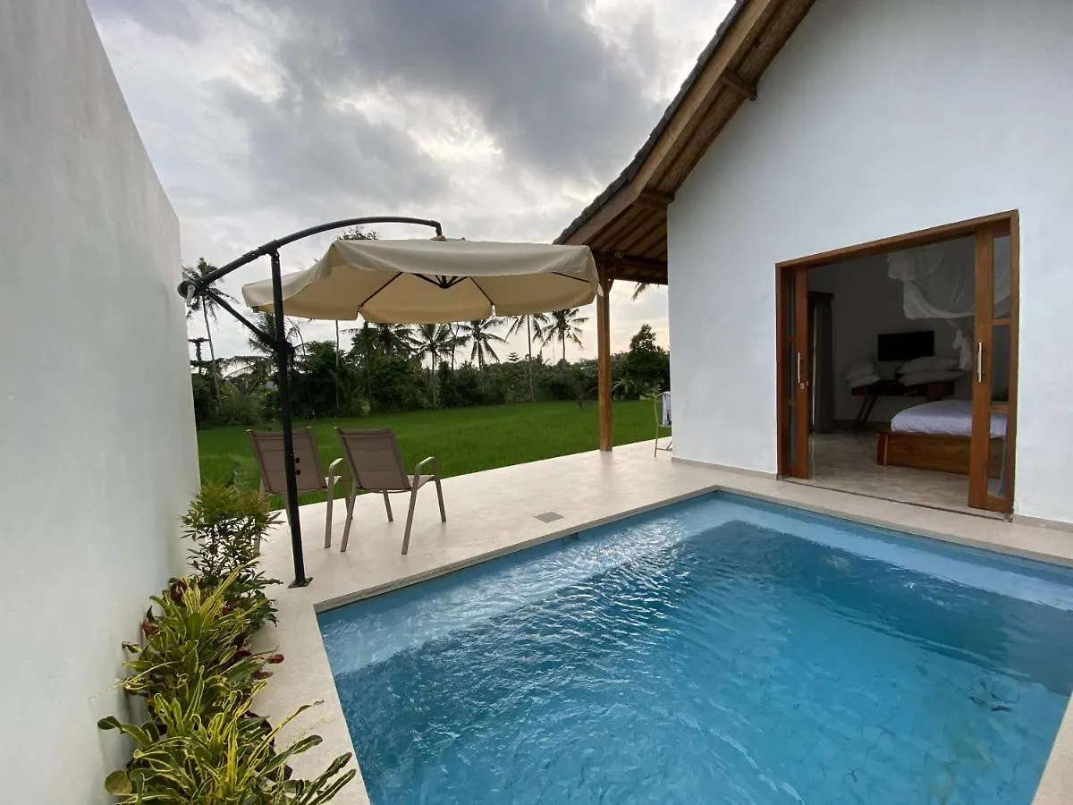 Luxury Villa Ada Padi Ubud One Bed Room Indonesia