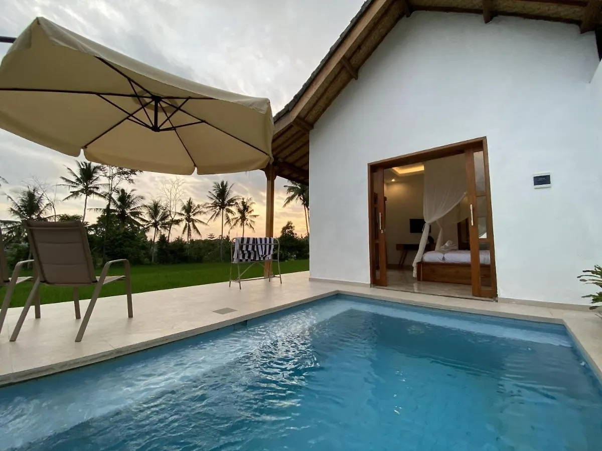 Luxury Villa Ada Padi Ubud One Bed Room 0*, Ubud (Bali) Indonesia